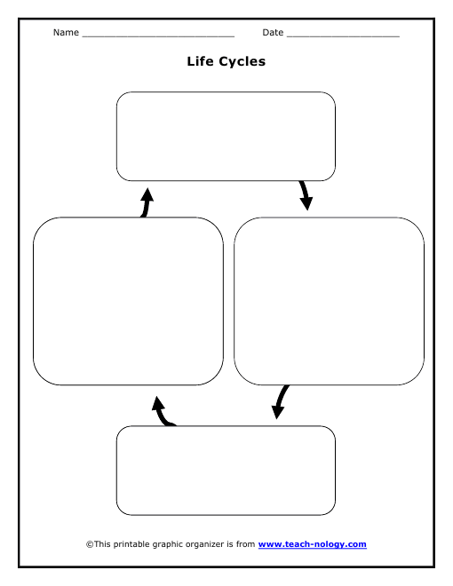 Blank Life Cycle Template